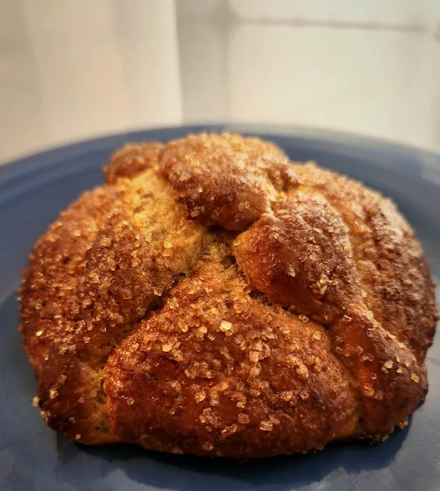 Atla's Conchas Picture 6