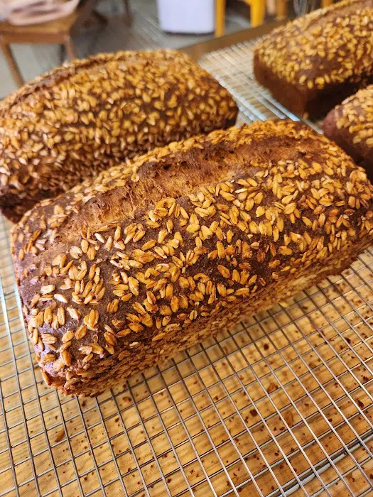 Atla's Conchas Picture 8