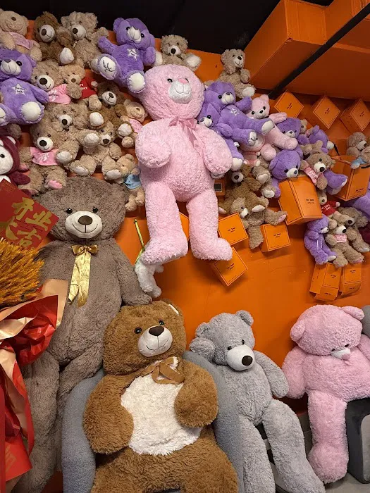 Mr. Bear Picture 1