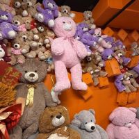 Mr. Bear ico