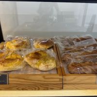 Bake Culture ico