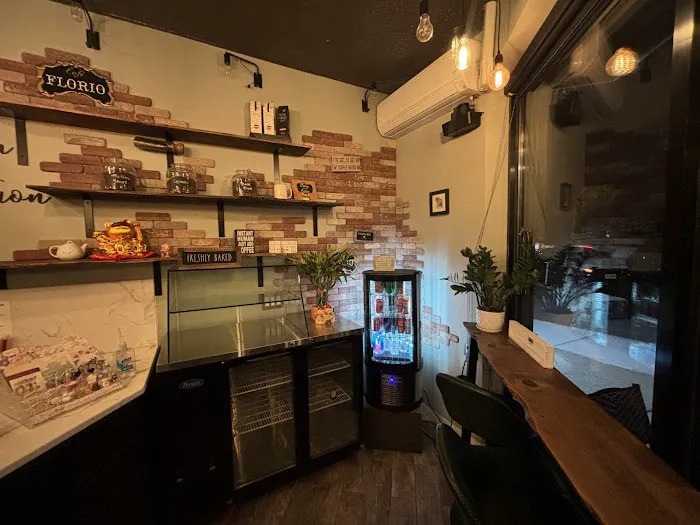 LITTLE SHARK Picture 2