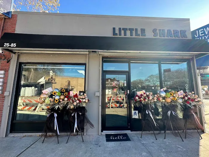 LITTLE SHARK Picture 3