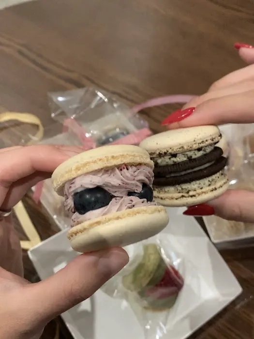 LITTLE SHARK Picture 4