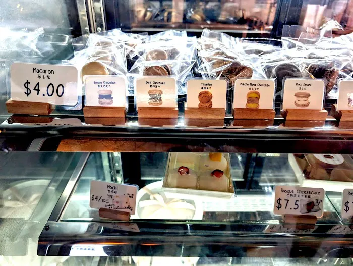 LITTLE SHARK Picture 10