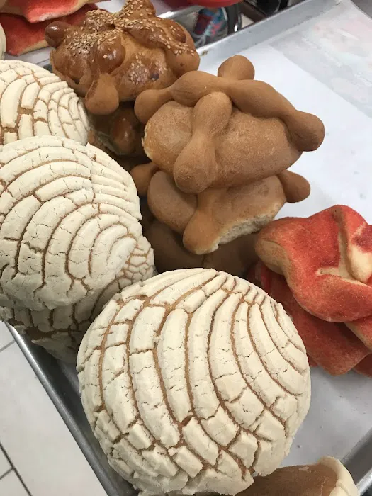 Mi Querido Mexico Lindo Picture 2