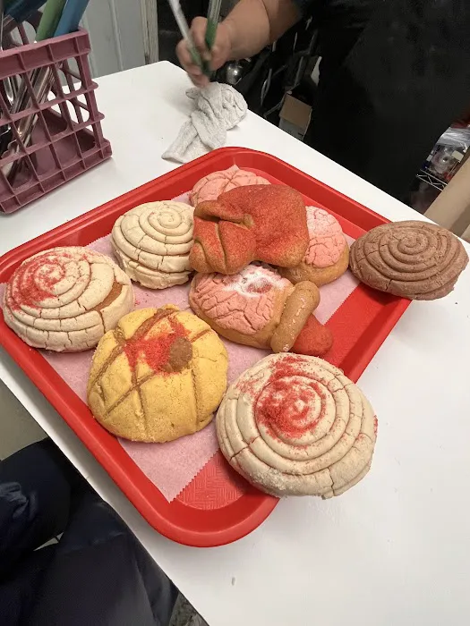 Mi Querido Mexico Lindo Picture 9