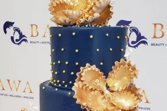 CMNY Cakes
