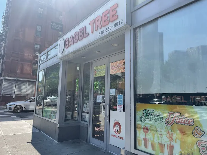 Bagel Tree Picture 3
