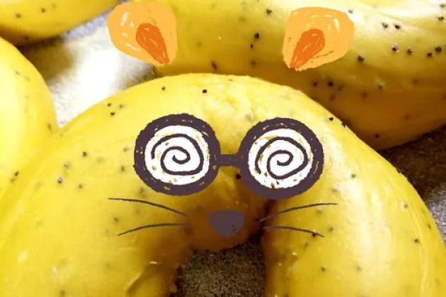 Magic Bagels Inc