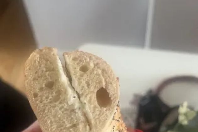 New York Bagel