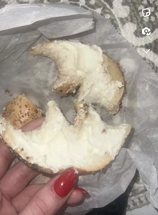 New York Bagel Picture 4