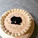 Milky's Pawfections Pet Cakes