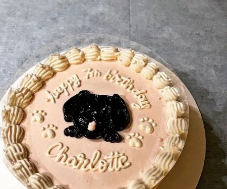 Milky's Pawfections Pet Cakes
