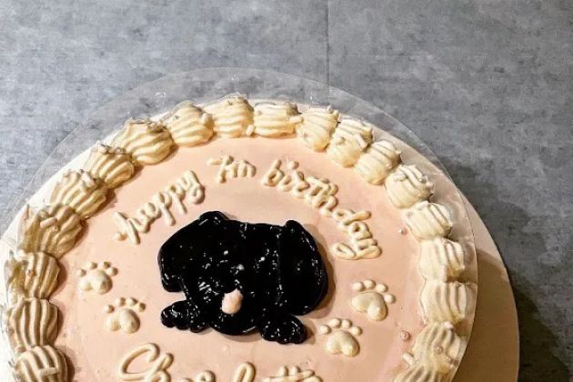 Milky's Pawfections Pet Cakes