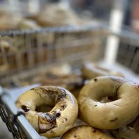 Lifes A Bagel ico