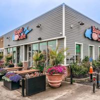 Long Island Bagel Cafe ico