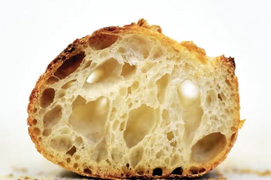 Leaven & Companions