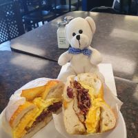 East Norwich Bagels ico