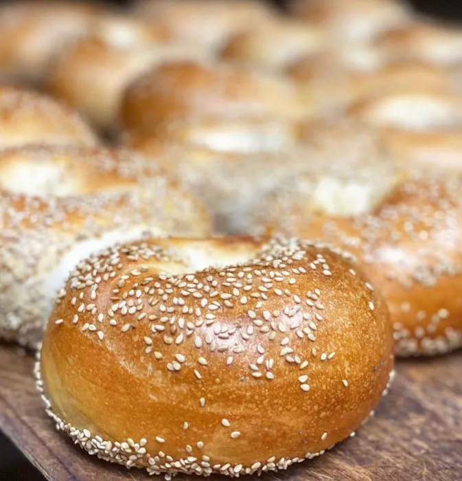 The Bagel Shop Picture 1