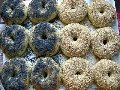 National Bagel Association Picture 1