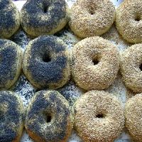 National Bagel Association ico