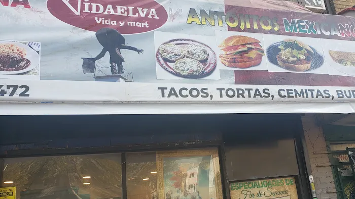 Vida Elva Corp Picture 2