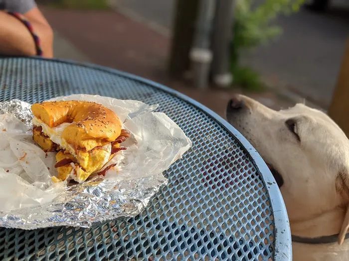 Mo's Bagels Picture 3