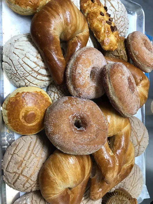 Panadería Ixtapan Picture 8