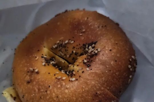 Wellwood Bagels and Bialys