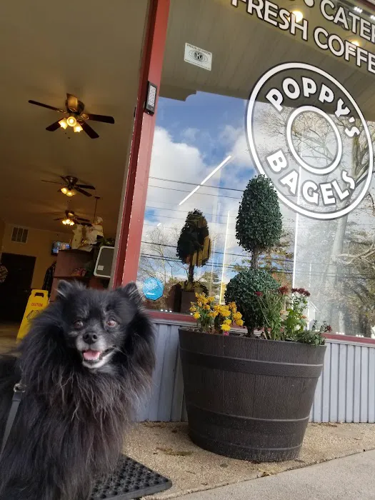 Poppy's Bagel Picture 5