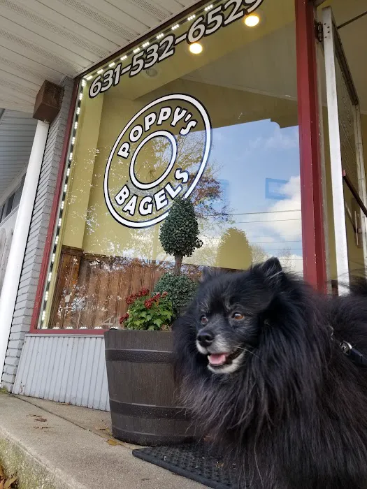 Poppy's Bagel Picture 10