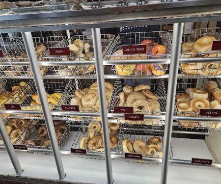 U-Need-A Bagels