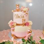 Josie's Cakes
