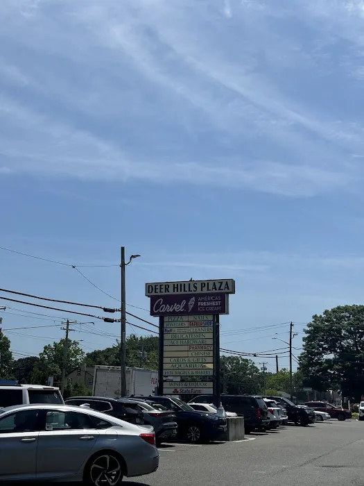 Steve's Hot Bagels & Bakery Picture 8