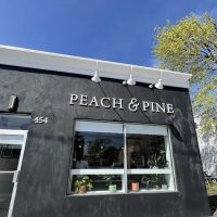 Peach & Pine ico