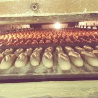 Cardella Bakery Inc ico