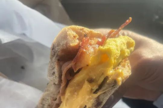 New York Bagel Co