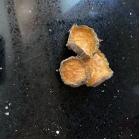 Paws & Claws Bakery ico