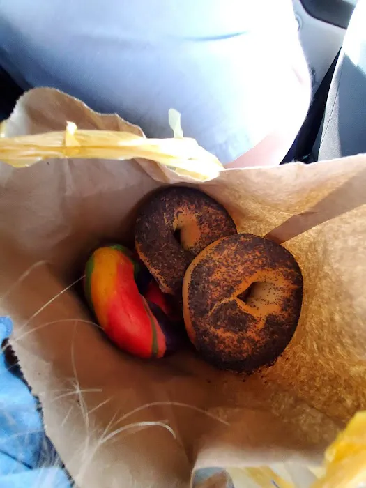 Big Time Bagels Picture 6