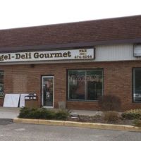 Bagel Deli Gourmet ico