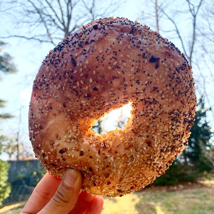 Bagels by Sofia Picture 2