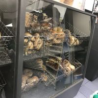 Village Square Bagels ico