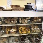 Patchogue Bagel Deli