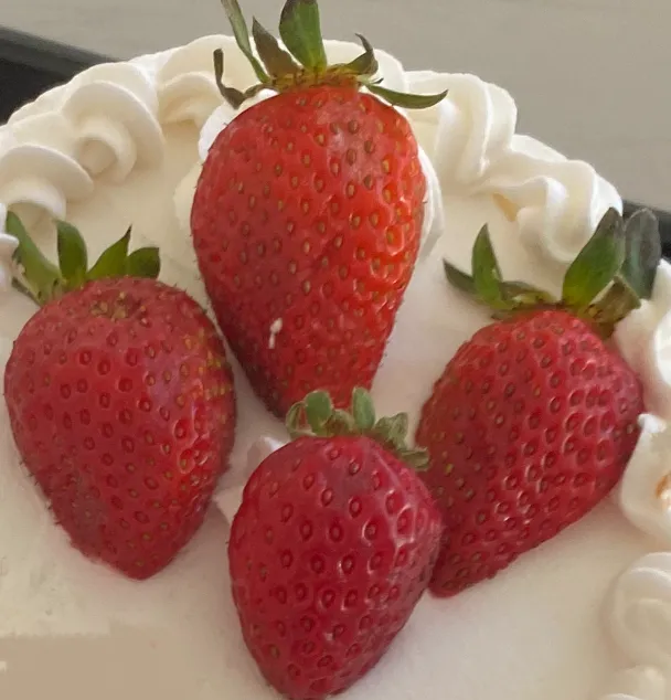 Dessert Oasis Picture 7