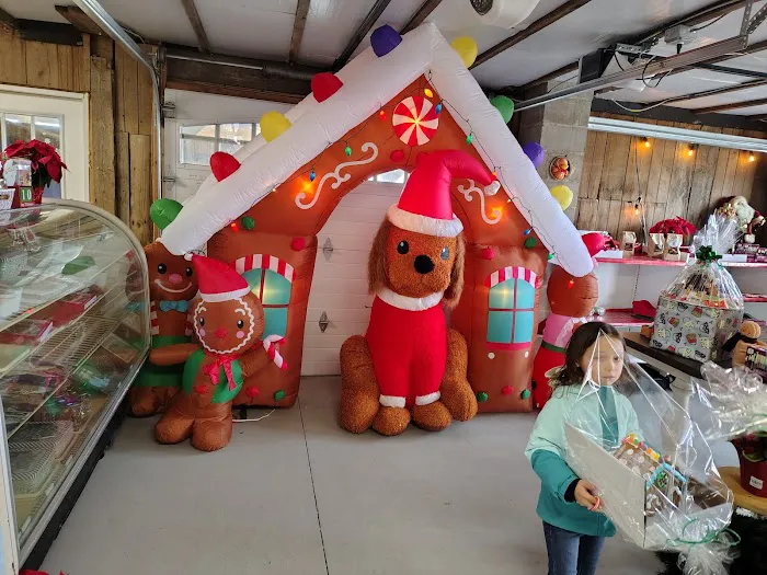 Gingerbread University Picture 2