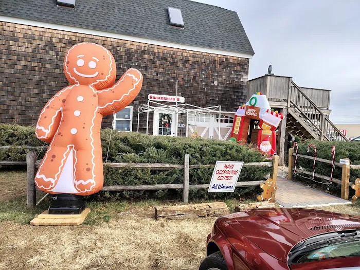 Gingerbread University Picture 7