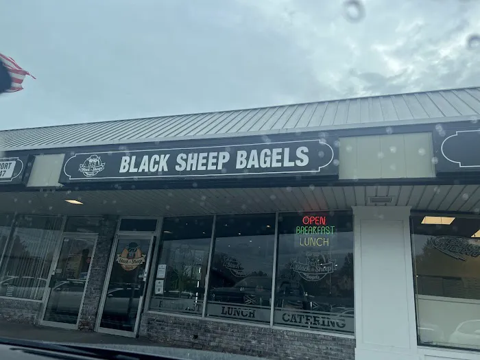 Black Sheep Bagels Picture 5