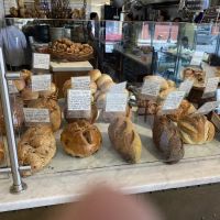 The Kneaded Bread ico