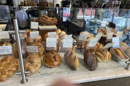 The Kneaded Bread